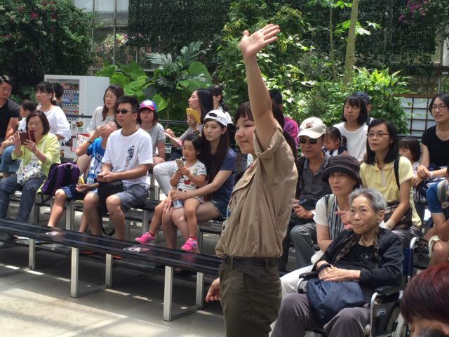 【訓練小孩容易?還是訓練動物容易?】 【訓練小孩容易?還是訓練動物容易?】